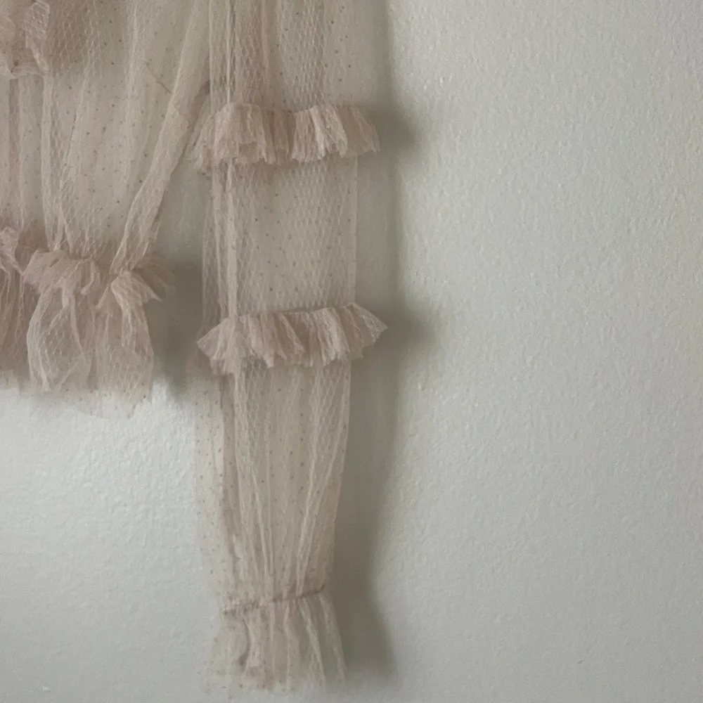 Chic Ruffled Sheer Blouse - Picture 3 of 4